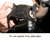My Gallery: 12pipa