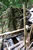 My Gallery: 14toilet2