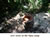 My Gallery: 15toilet