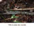 My Gallery: 16warshy3