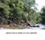 My Gallery: 18kamoa