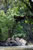 My Gallery: 19kamoa