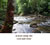 My Gallery: 1acarai