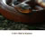 My Gallery: 20celsisnake