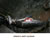 My Gallery: 24hunted