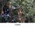 My Gallery: 25wallaba