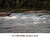 My Gallery: 41rapids