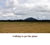 My Gallery: 43walk