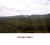 My Gallery: 48gunns2
