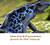 My Gallery: 9frog2