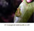 My Gallery: 9frog