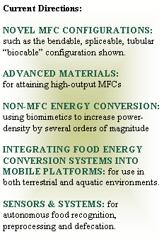 Text Box: Current Directions:NOVEL MFC CONFIGURATIONS: such as the bendable, spliceable, tubular �biocable� configuration shown.ADVANCED MATERIALS:for attaining high-output MFCsNON-MFC ENERGY CONVERSION: using biomimetics to increase power-density by several orders of magnitudeINTEGRATING FOOD ENERGY CONVERSION SYSTEMS INTO MOBILE PLATFORMS: for use in both terrestrial and aquatic environments.SENSORS & SYSTEMS: for autonomous food recognition, preprocessing and defecation.